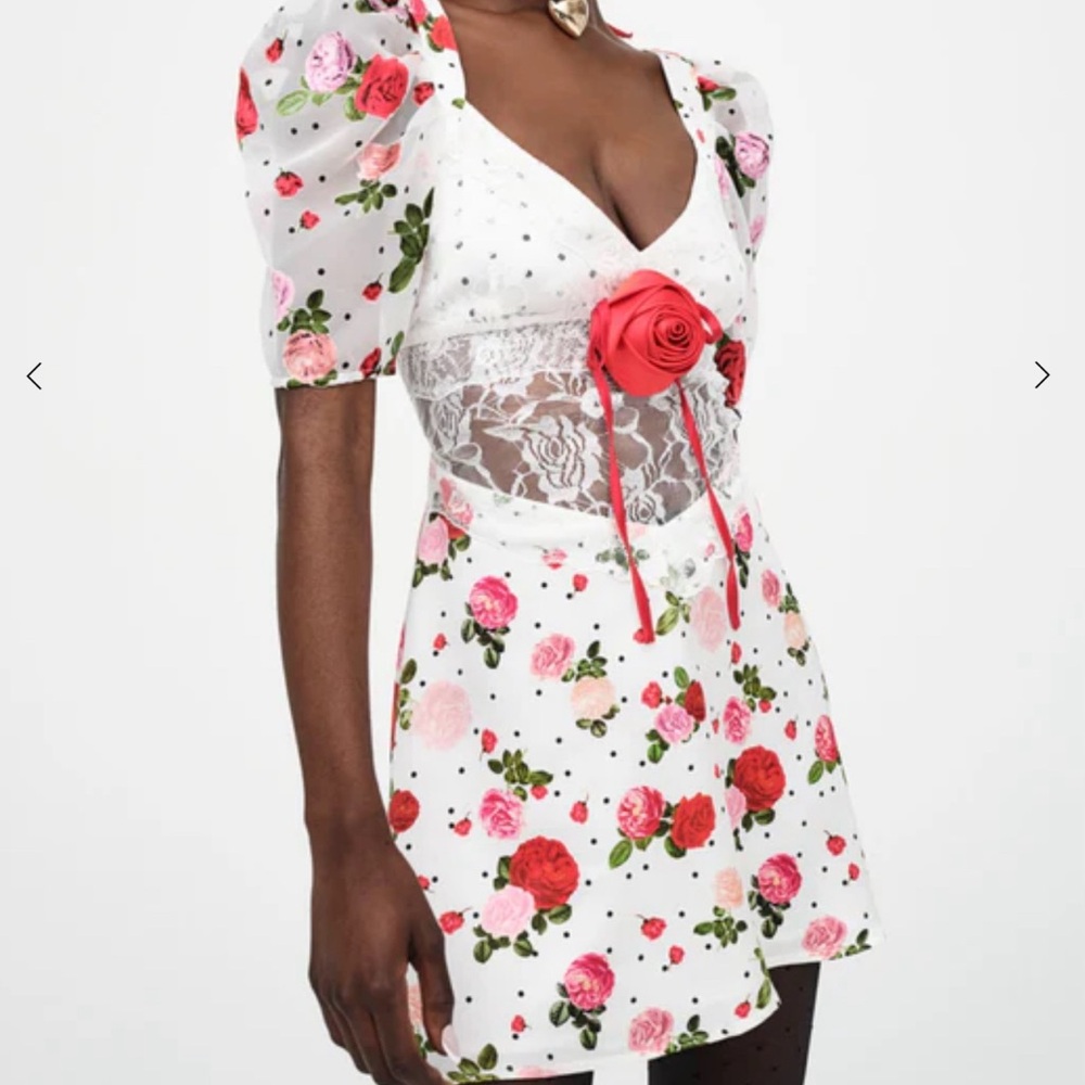 For love of lemons wynter mini dress